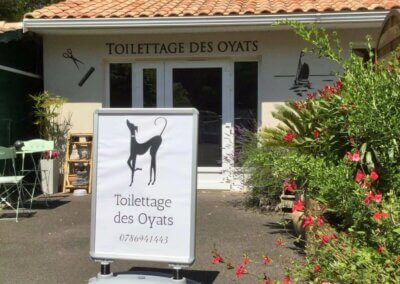 Toilettage des Oyats