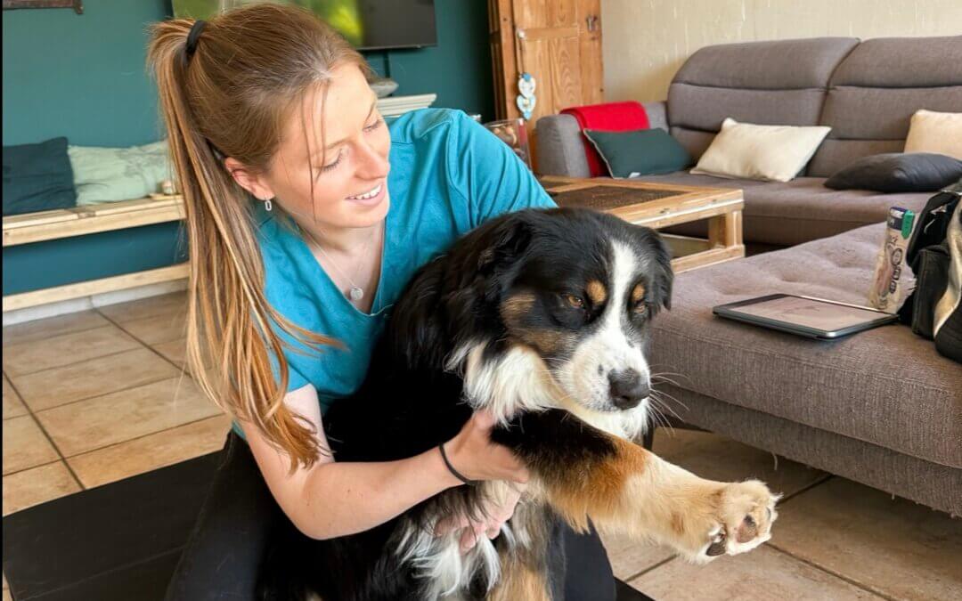 Ostéopathe animalier – Julie Dargaud