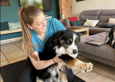 Ostéopathe animalier – Julie Dargaud