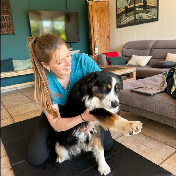 Ostéopathe animalier – Julie Dargaud